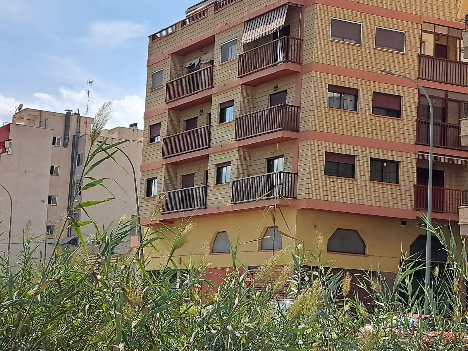 Apartment in Albatera - view 1