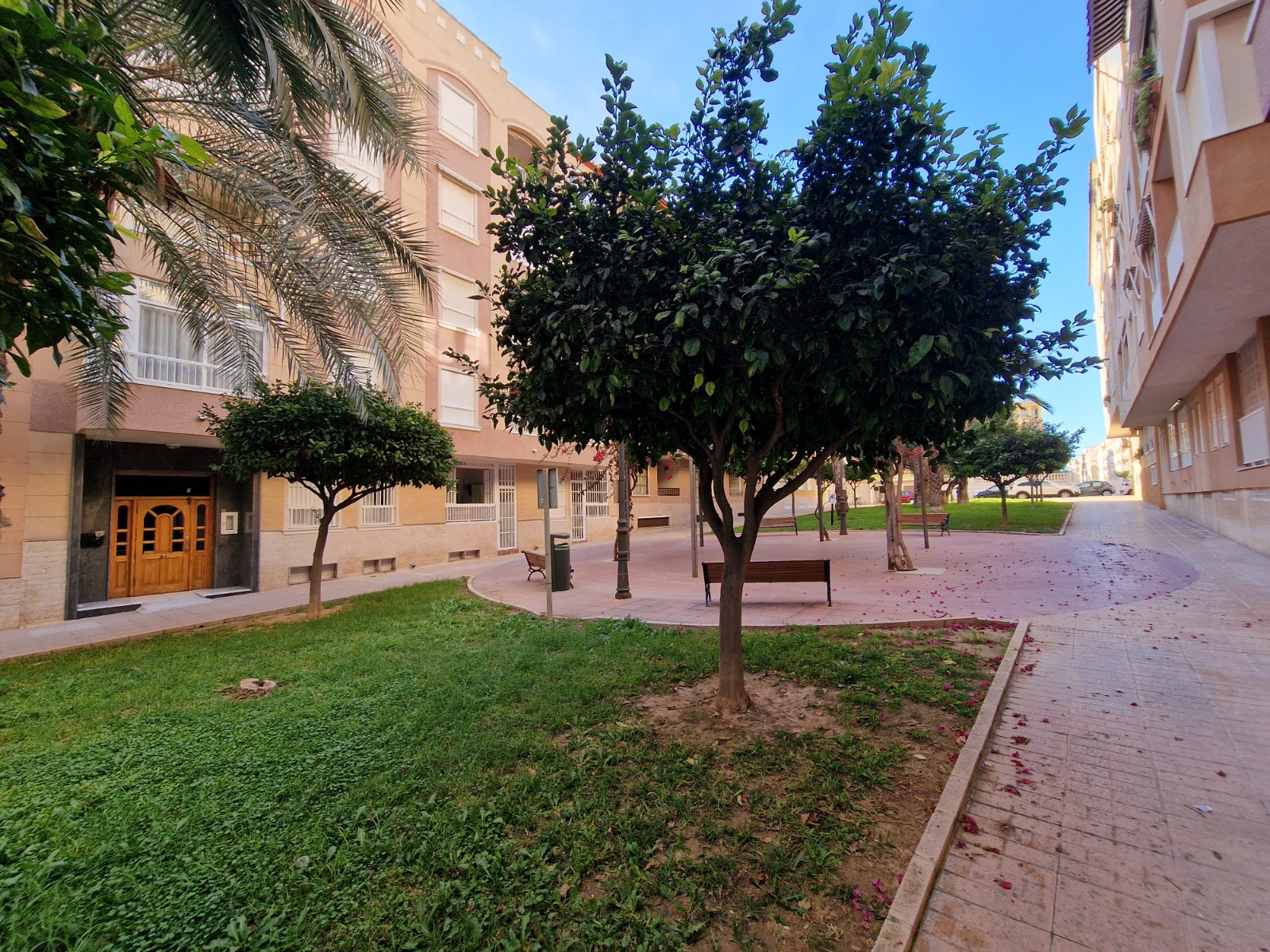 Apartment in Guardamar del Segura - view 1