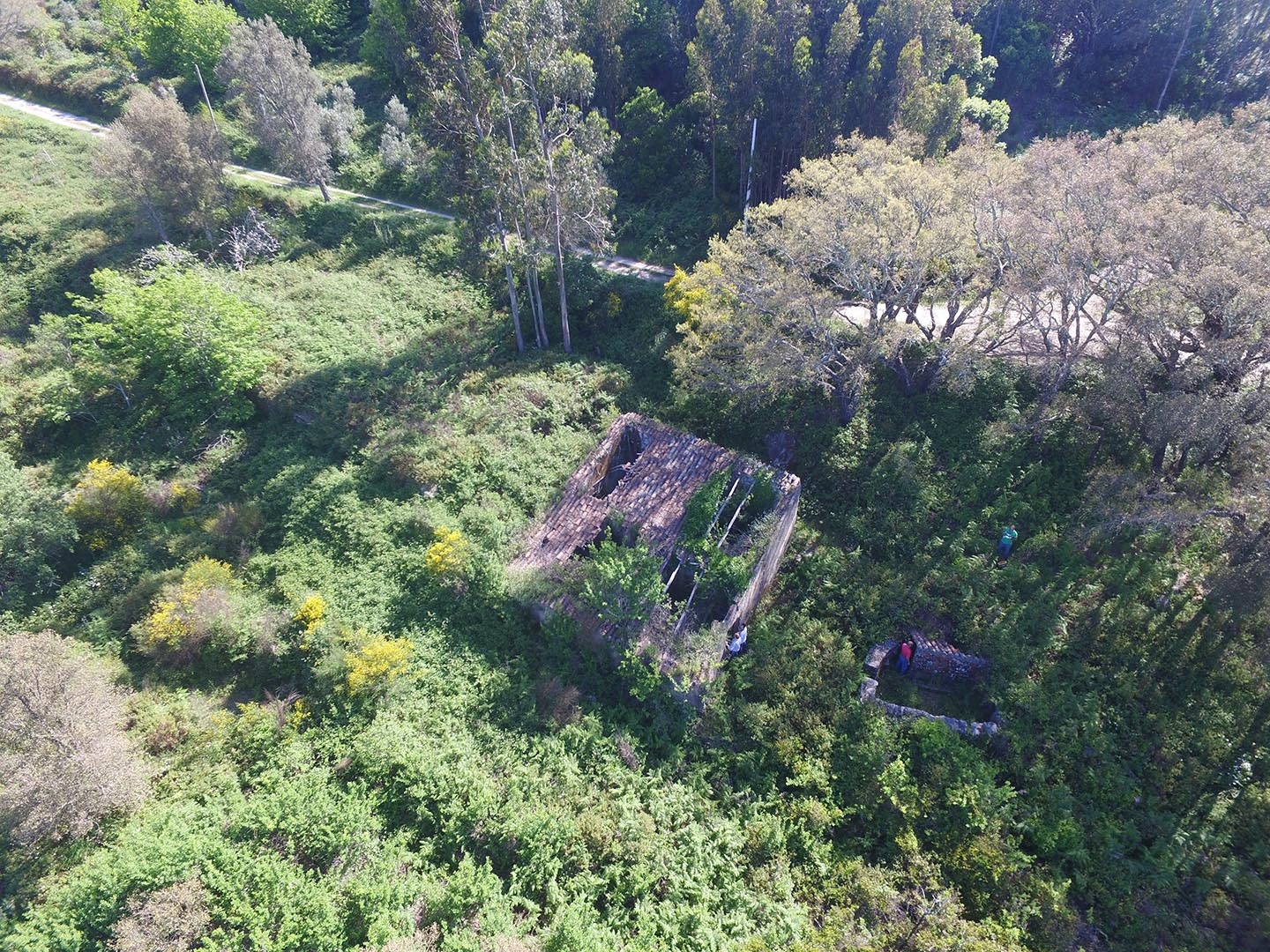 Land in Alferce - view 1