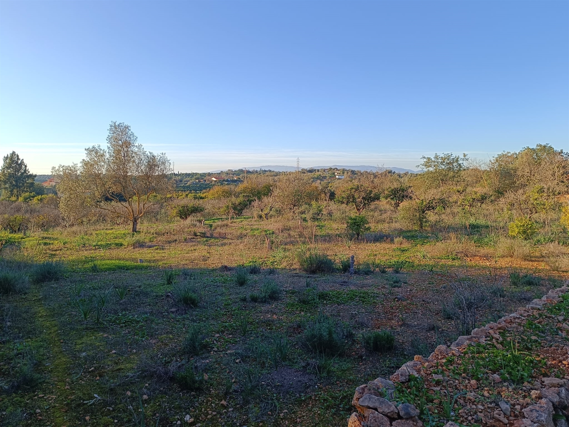 Land in Silves - view 1