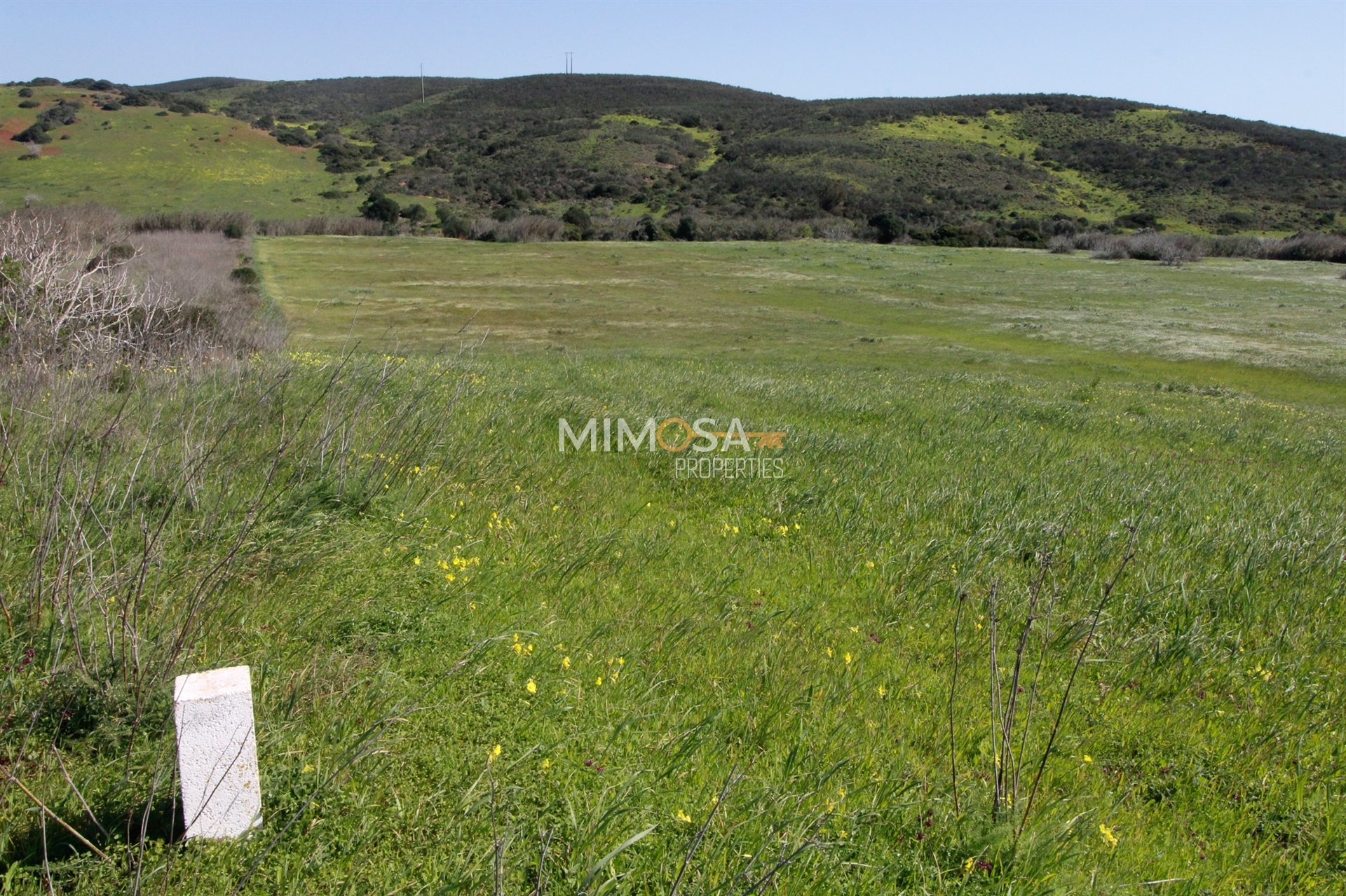 Land in Raposeira - view 1