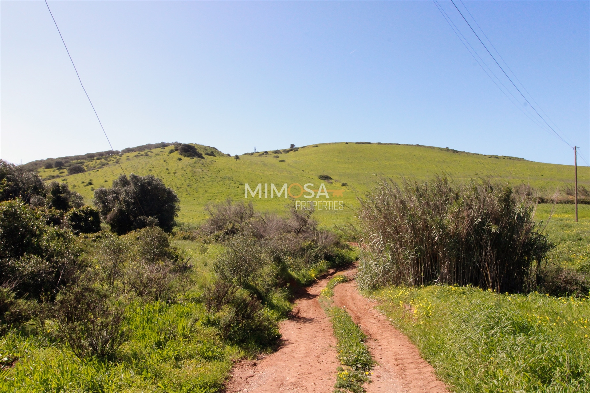Land in Raposeira - view 1