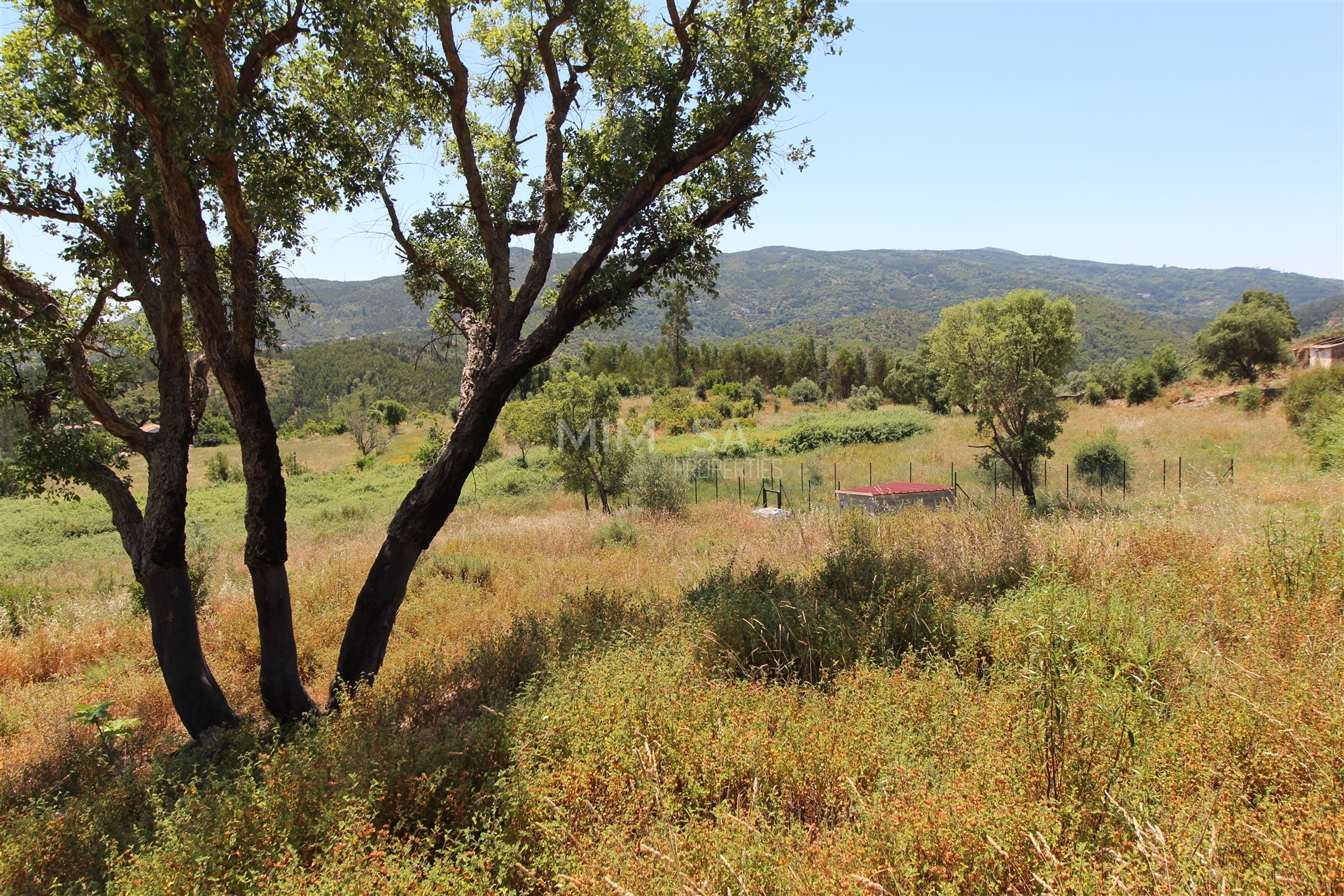 House in Alferce - view 1