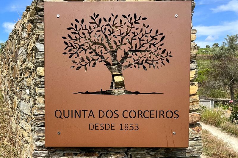 Farm, Ranch or Equestrian in Peso da Regua - view 1