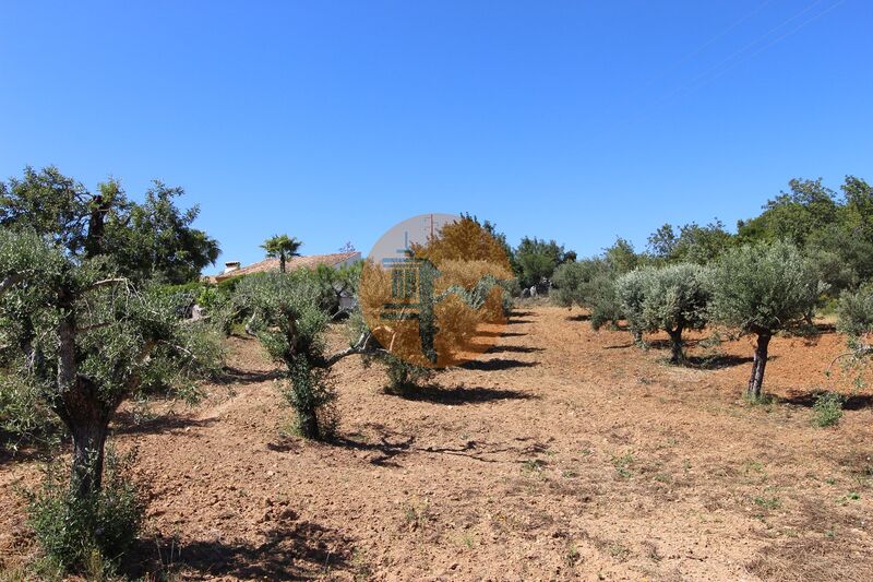 Land in Sao Bras de Alportel - view 1