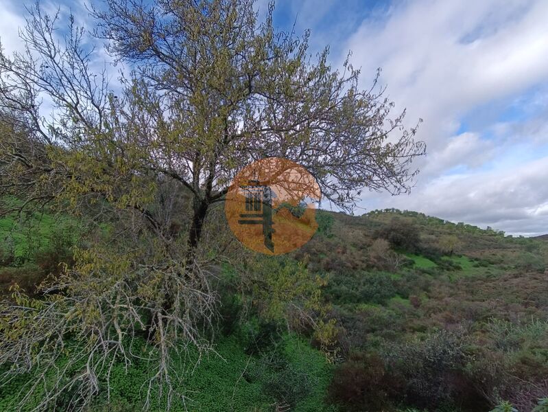 Land in Castro Marim - view 1