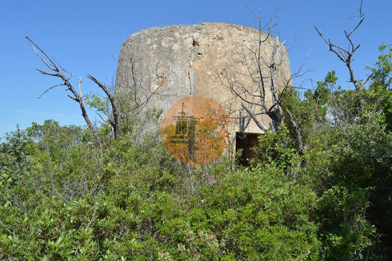 Land in Moncarapacho - view 1