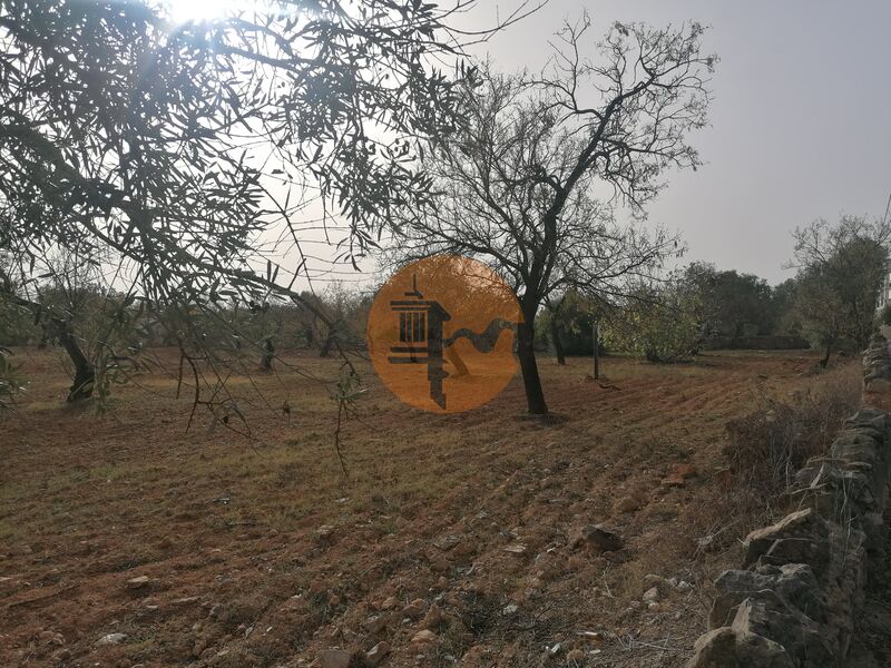 Land in Faro - view 1