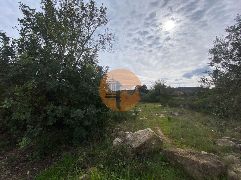 Land in Faro - view 1