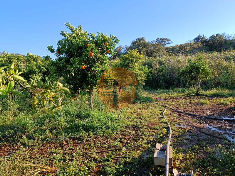 Land in Castro Marim - view 1
