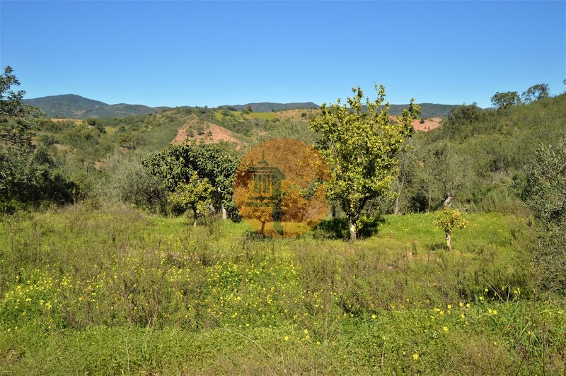 Land in Tavira - view 1