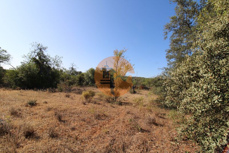 Land in Faro - view 1