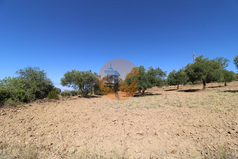 Land in Sao Bras de Alportel - view 1