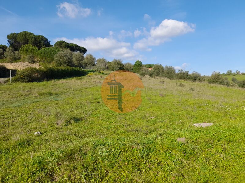 Land in Rio Maior - view 1