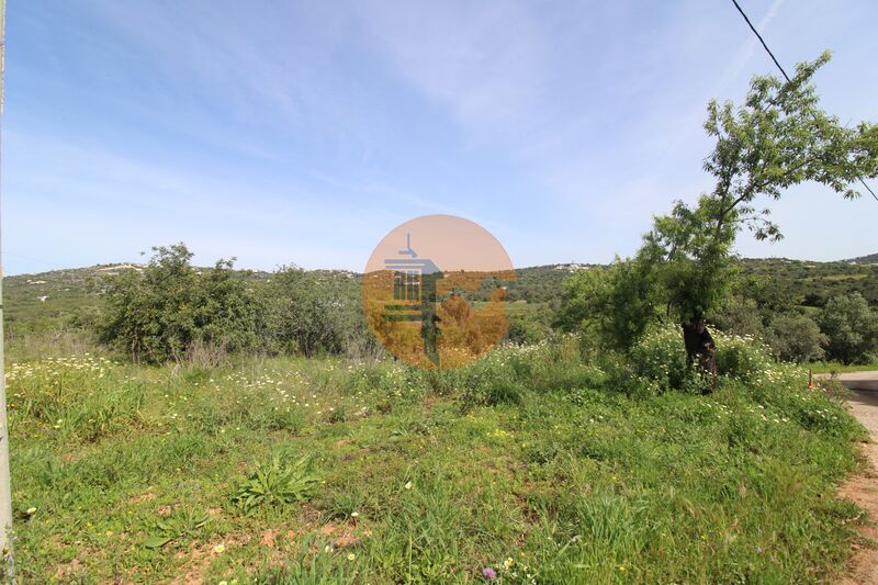 Land in Mouriscas - view 1