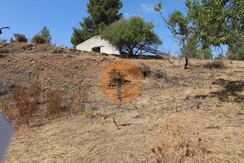 Farm, Ranch or Equestrian in Azinhal - view 1