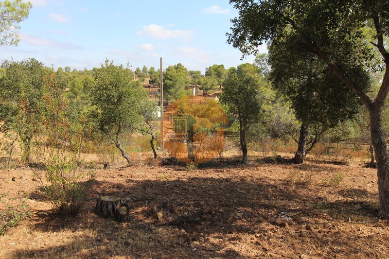 House in Azinhal - view 1