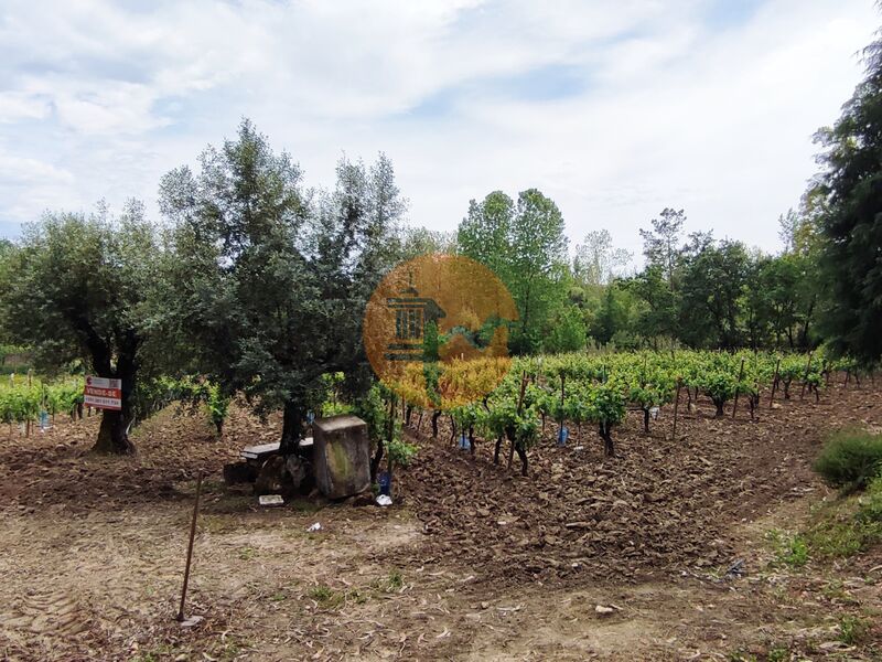Land in Casal Comba - view 1
