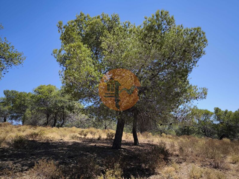 Land in Castro Marim - view 1