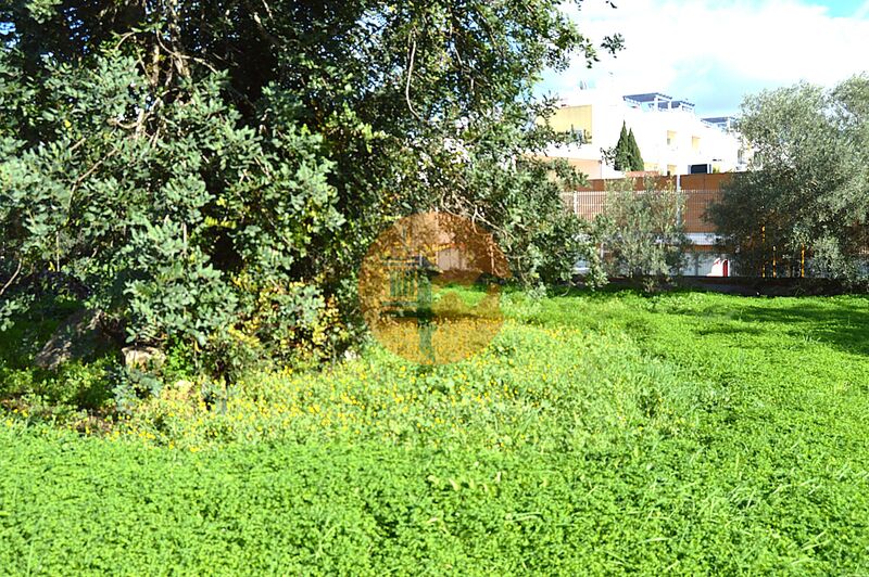 Land in Tavira - view 1