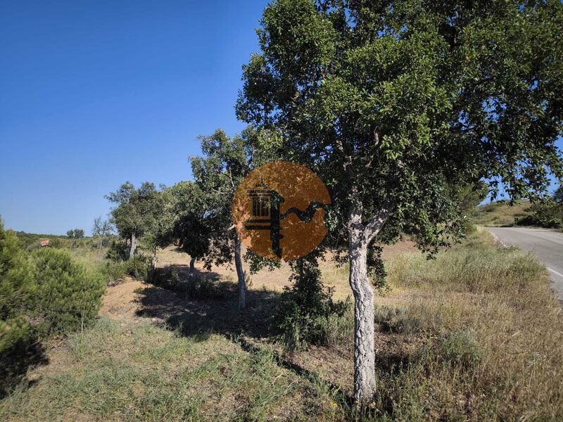 Land in Azinhal - view 1