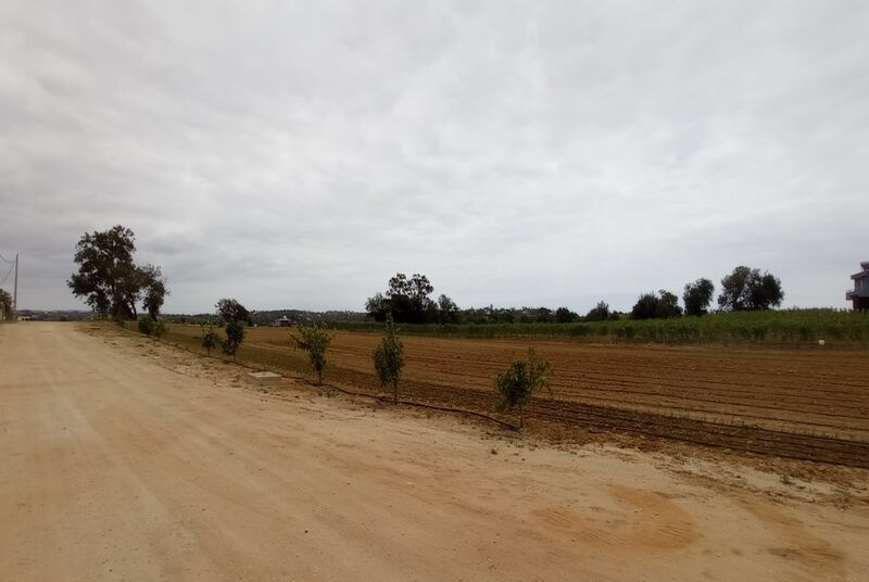 Land in Guia - view 1