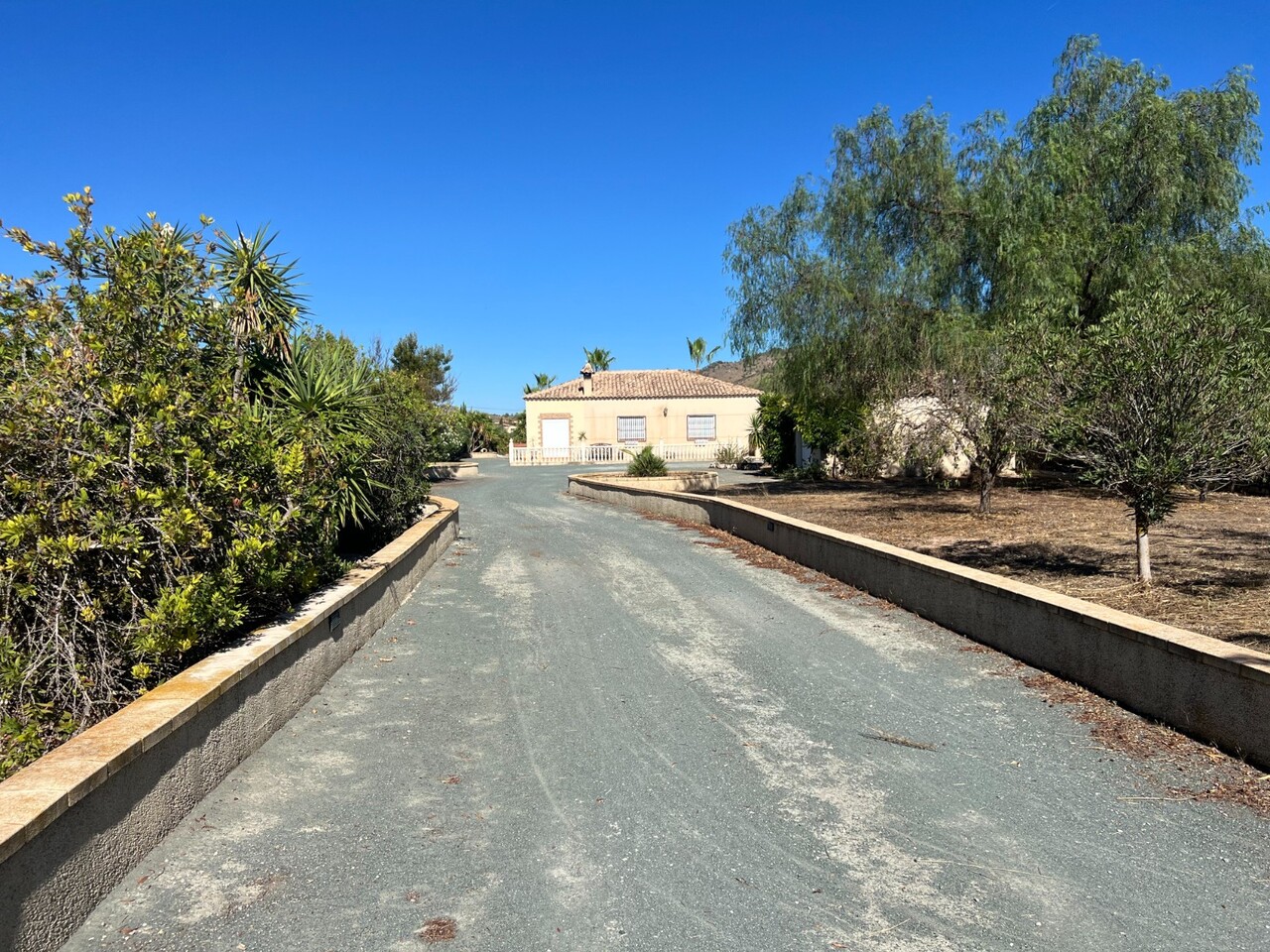 Villa in Hondon de los Frailes - view 1