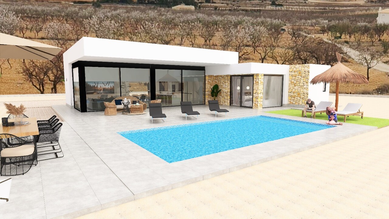 Villa in Pinoso - view 1