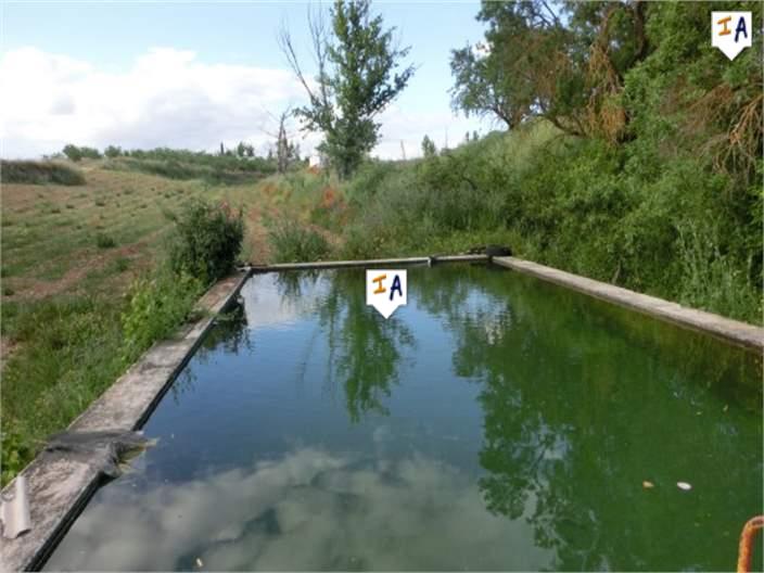 Farm, Ranch or Equestrian in Mures - view 1