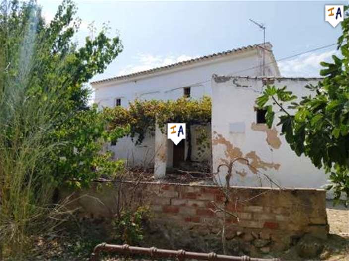 Farm, Ranch or Equestrian in Granada - view 1