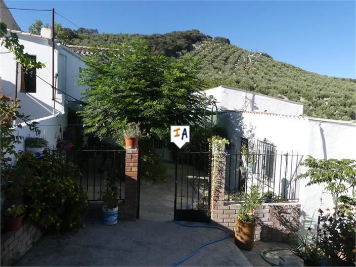 Farm, Ranch or Equestrian in La Guardia de Jaen - view 1