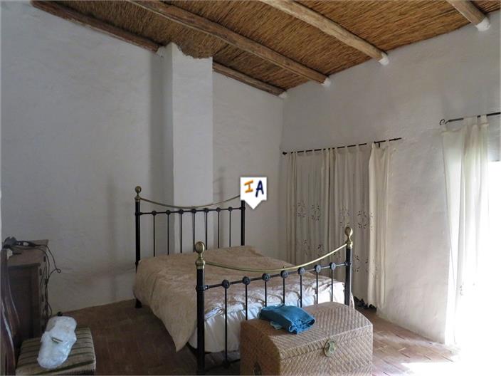 Farm, Ranch or Equestrian in Jaen - view 1