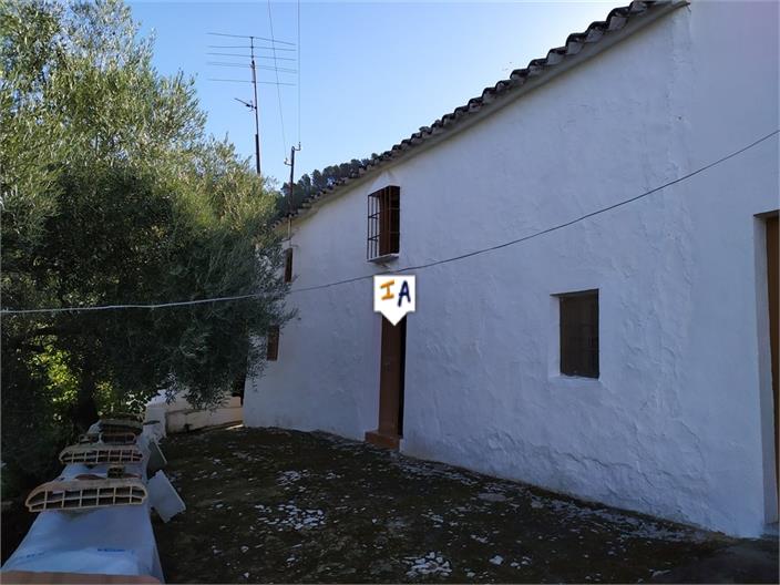 Farm, Ranch or Equestrian in Rute - view 1