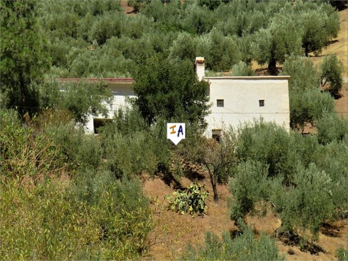 Farm, Ranch or Equestrian in La Guardia de Jaen - view 1