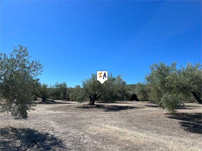 Farm, Ranch or Equestrian in Jaen - view 1