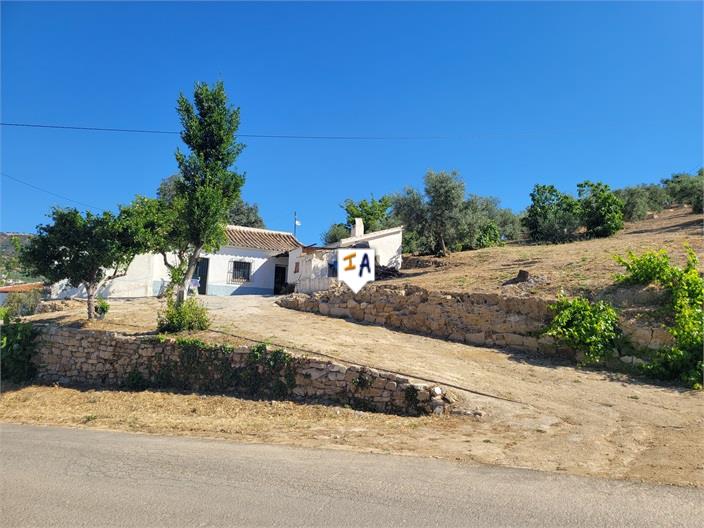 Farm, Ranch or Equestrian in Malaga - view 1