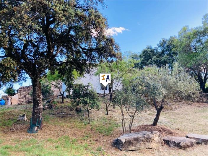 Farm, Ranch or Equestrian in La Guardia de Jaen - view 1