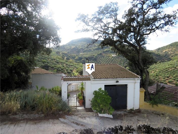 Farm, Ranch or Equestrian in Jaen - view 1