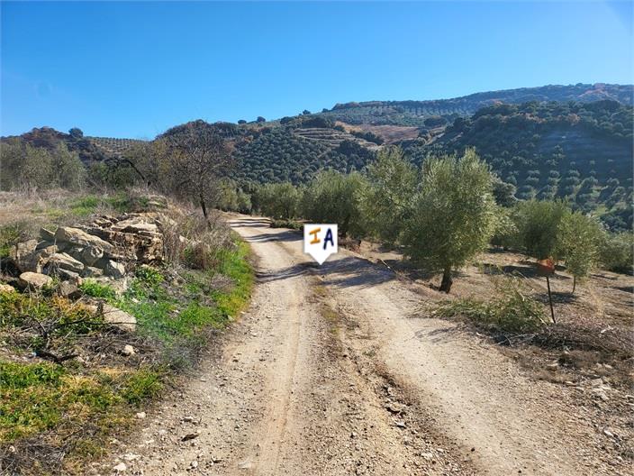 Farm, Ranch or Equestrian in Granada - view 1