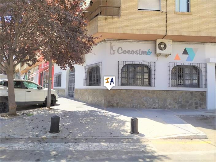 House in Granada - view 1