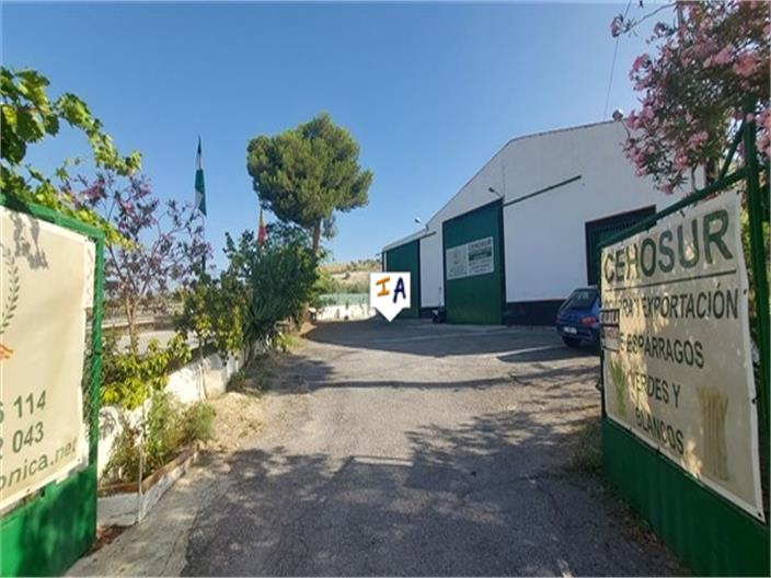House in Granada - view 1
