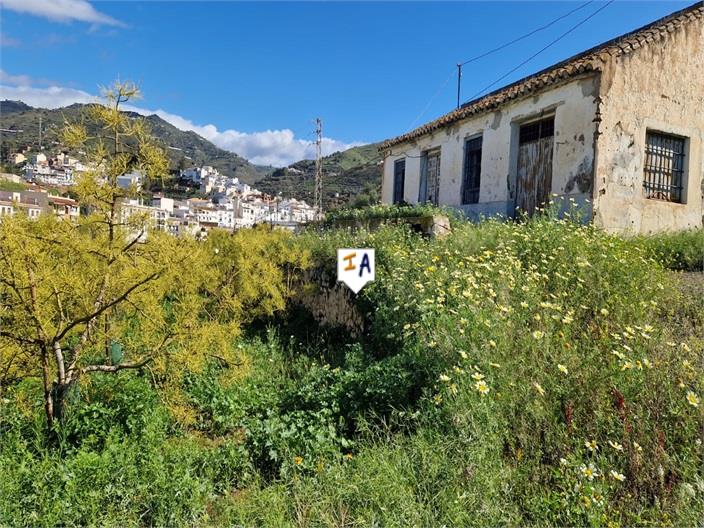 Farm, Ranch or Equestrian in Torre del Mar - view 1
