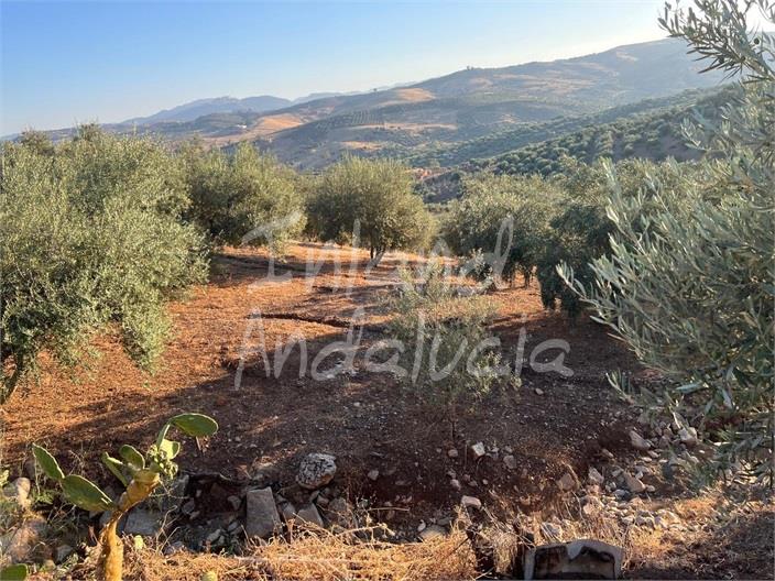 Land in Periana - view 1
