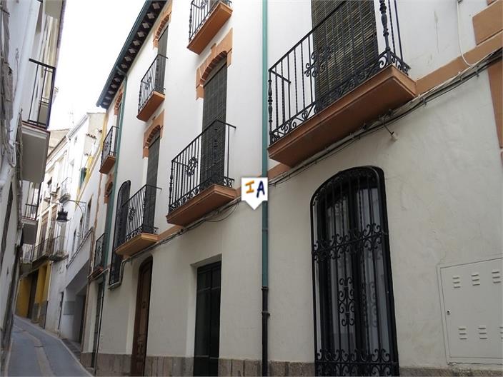 House in Alcaudete de la Jaya - view 1