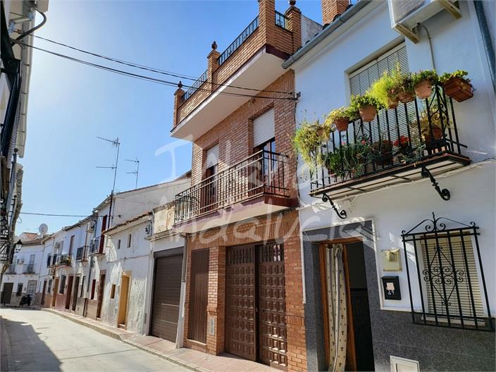 House in Malaga - view 1