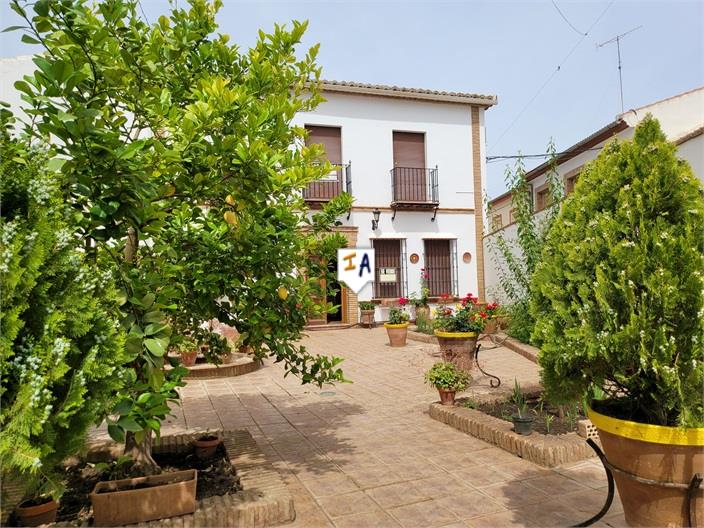 House in Malaga - view 1