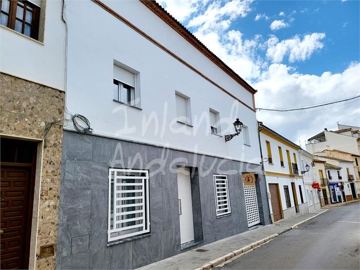 House in Malaga - view 1
