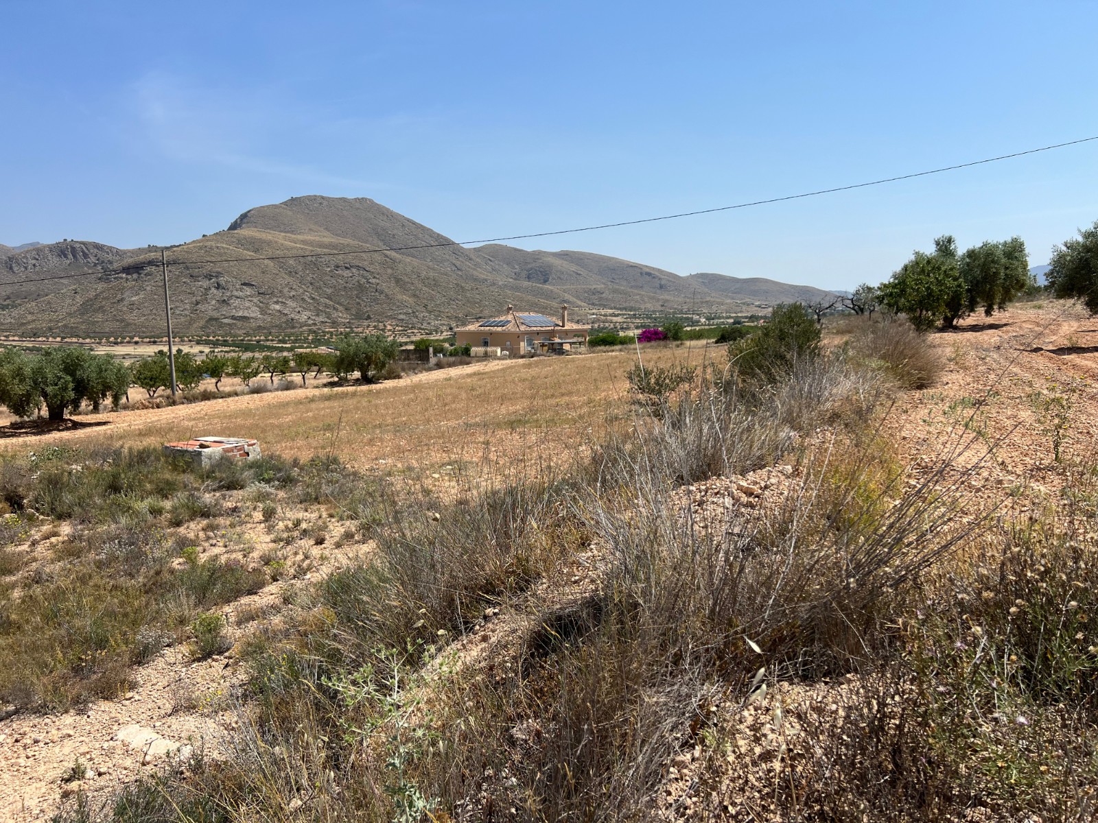 Land in Barbarroja - view 1