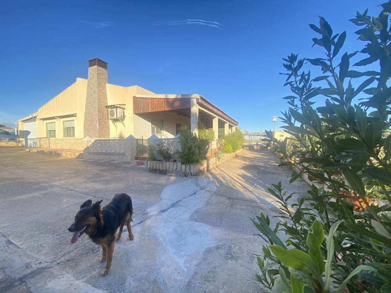 Villa in Murcia - view 1
