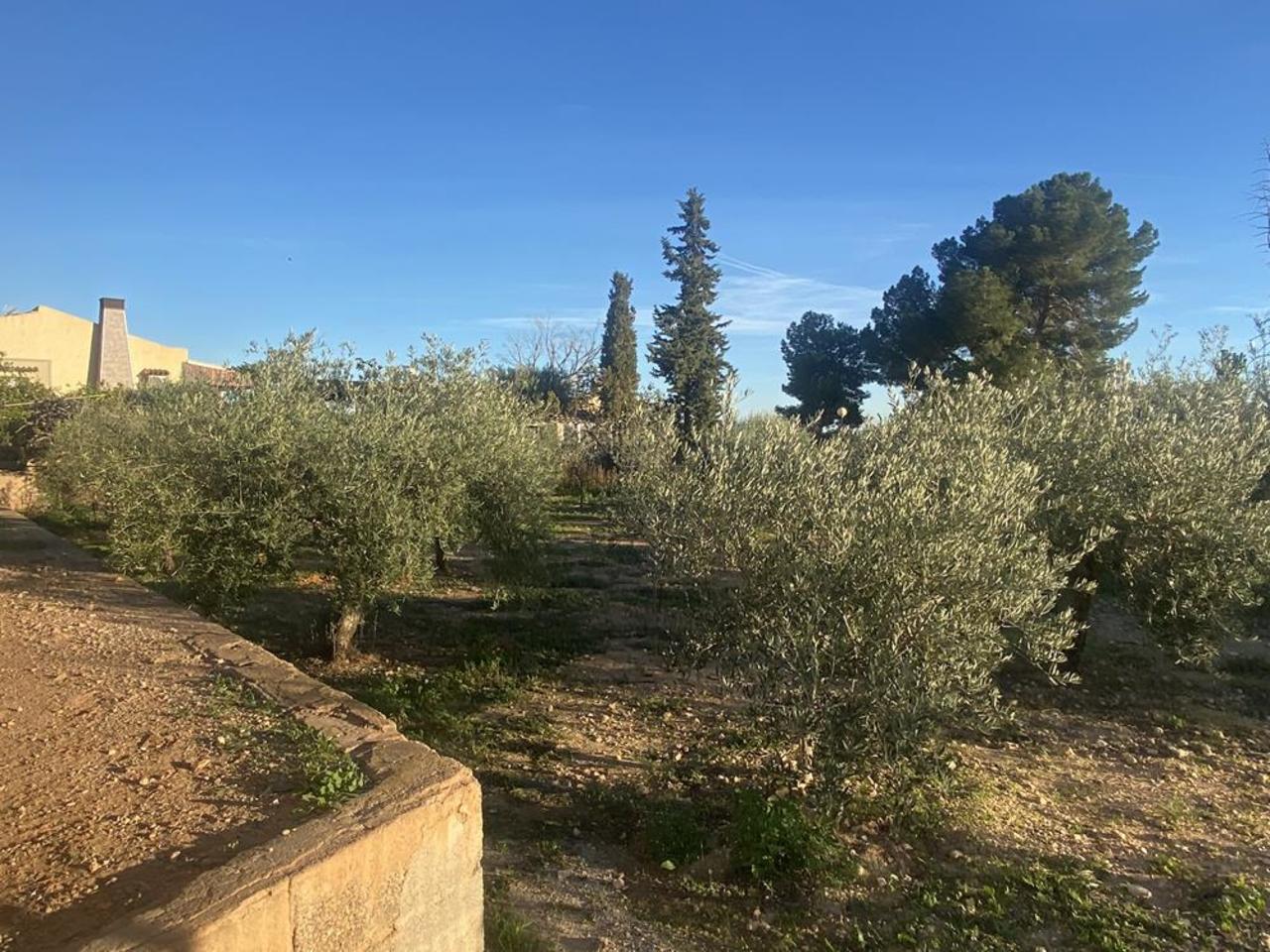 Villa in Casas del Cura - view 1